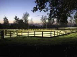 DIY Livery Stables