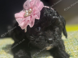 Beautiful little baby&rsquo;s