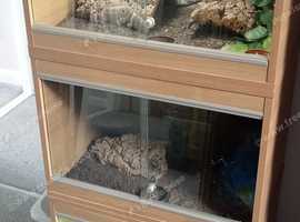 oak vivarium stack