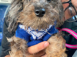 Millie may