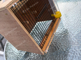 pet birds carrier&rsquo;s cage