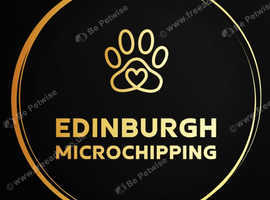 Edinburgh Microchipping Pet Service