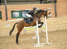 16&rsquo;3 tb with full tack and wardrobe
