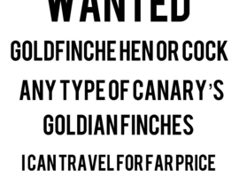 Wanted any type of birds