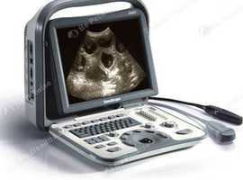 K9 Mobile Pregnancy Scanning