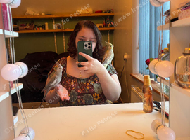 Couple of cockatiels (MUST BE KEPT TOGETHER)
