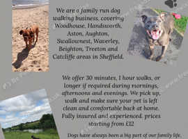 Trails, Walks and Paws