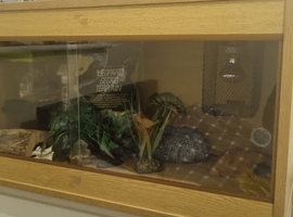 Gecko Tank