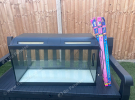 3ft fish tank