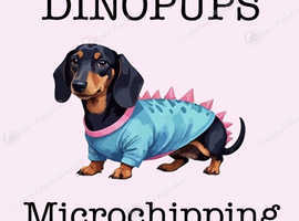 UPDATED - Mobile Microchipping - Pembrokeshire, Ceredigion, Carmarthenshire