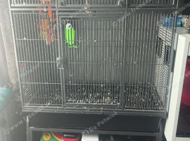 Bird cage