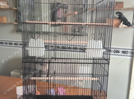 Large bird cage