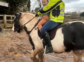 Pony Wanted