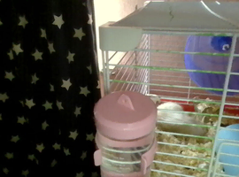 mello