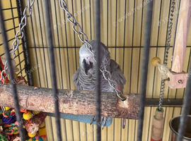 For sale
