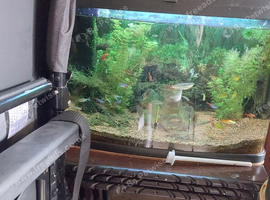 2ft Fish Tank.Full Set up