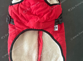 New dog jackets