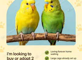 Looking for