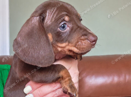 1 little boy ready now