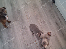 Rehome