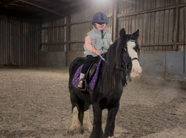 Super Safe Childs Cob