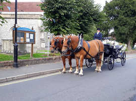 yard, barns & accommodation