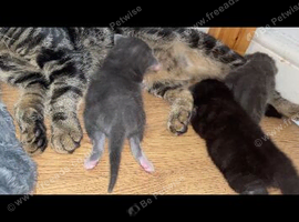 Beautiful baby&rsquo;s