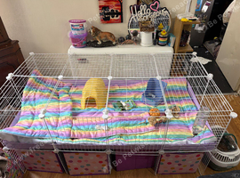 C&c cage Guinea pig cage with stand