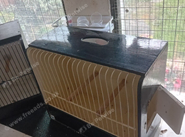 Bird carry cases