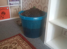 Black aquarium gravel