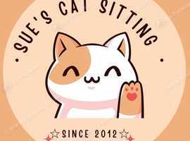 Cat sitter s43 areas