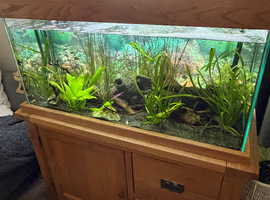 200l fish tank full set up
