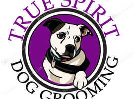 Mobile dog grooming sevenoaks
