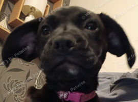 Lovely little girl