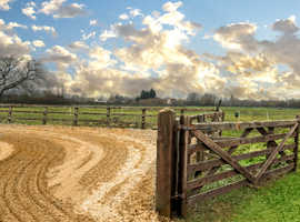 Schooling, holiday & breaking livery