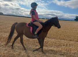 13hh Project pony.