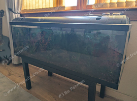 4ft Aqurium