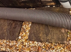Very long rabbit tunnel