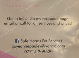 Safe Hands Pet Services