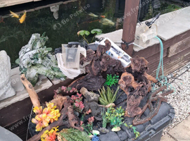 Various tanks decorations