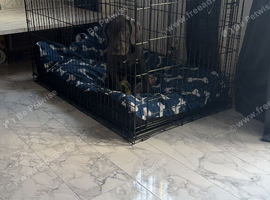 Cage
