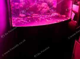 160 litre fish tank juwel