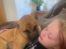 Beautiful 7 month old girl for sale