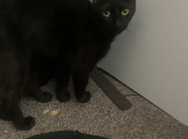 girl 1 year old