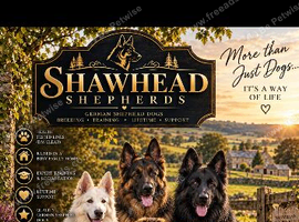 Shawhead German Shepherds