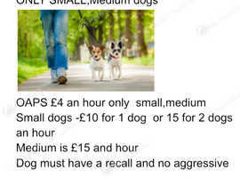 Dog walking