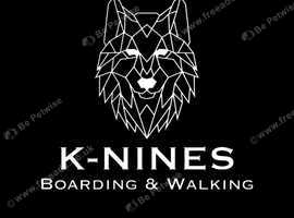 Dog walking and home boarding
