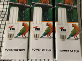 Birds light