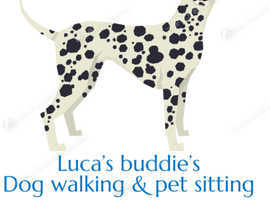 Dog walking and pet sitting