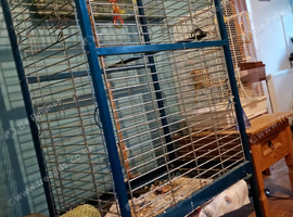 Indoor Parrot cage